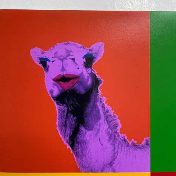 Colourful Camel 🐪 Print - Picture 8 of 9